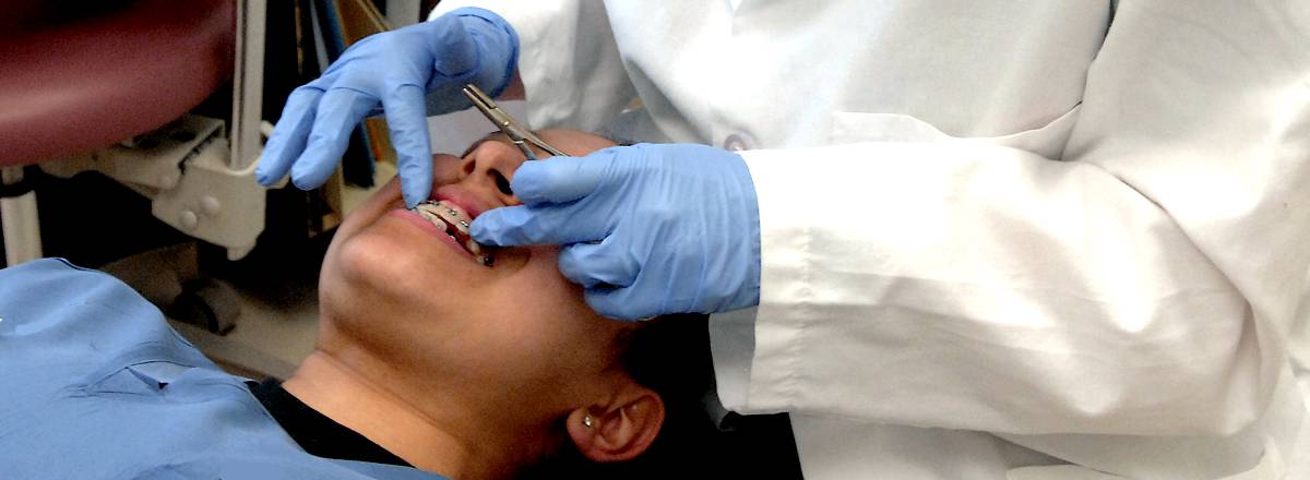 Orthodontist fitting braces